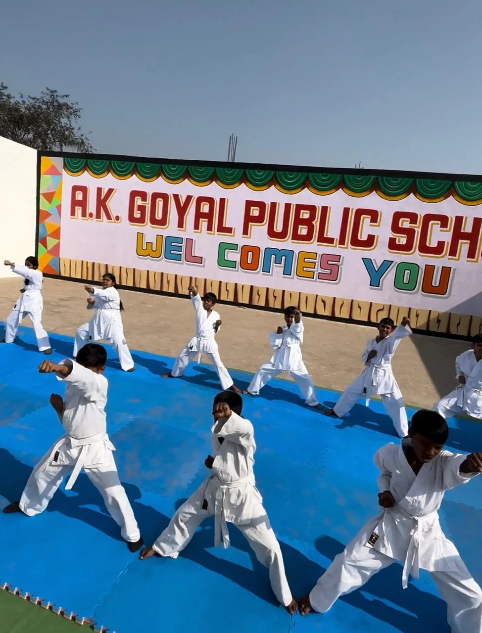 Students participating in karate activity